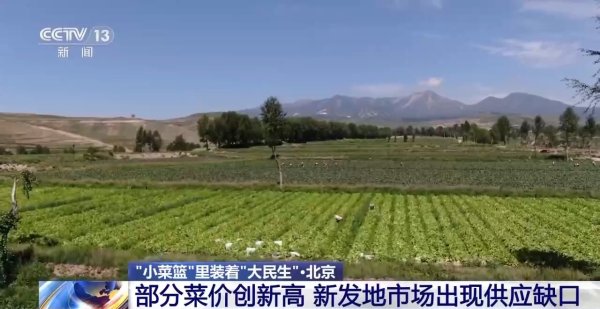 源顺网 面对菜价波动 多地出实招守护“菜篮子”